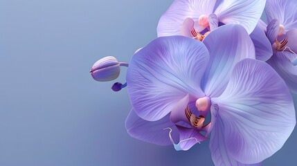 purple orchid flower purple background