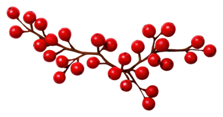 PNG Cherry plant fruit cranberry.