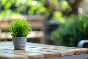 Serene Potted Plant On Wooden Table: Perfect For Home Decor, Wellness Blogs, Or Nature-Inspired Design Projects