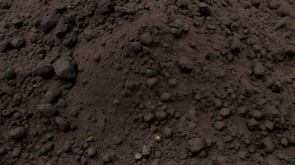 volcanic soil