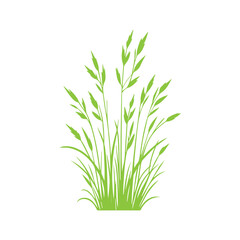  green grass design flat vector illustration