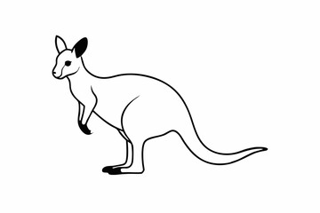 A Wallaby animal vector illustration