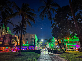 Miami Beach, Florida - July 8, 2024: Vibrant nightlife scene on Ocean Drive in South Beach with neon lights, as seen from Lummus Park.