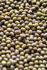 closeup of many green mung bean seeds