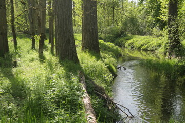 Naturschutzgebiet