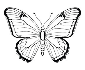 Set of butterflies coloring page for kids bold line art