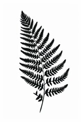 Black and white flat vector art of a fern frond, svg style, isolated on white background, simple vector art design -