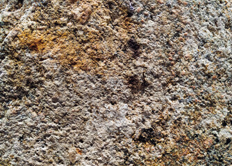 Rough texture of grainy light granite. Natural grunge background.