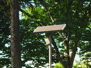 公園に設置された太陽光パネル電源の街灯