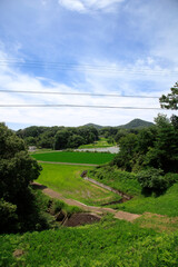 日本の田園風景