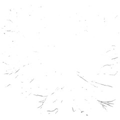 Delicate Jet Patterns on Flawless White Canvas