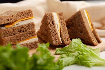 Delicious fresh Sandwich with Cheese and salad