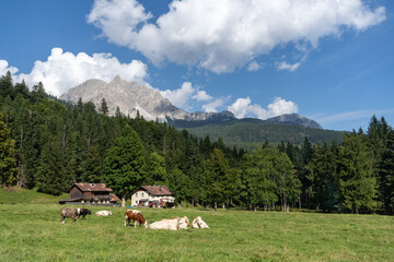 Passo Tre Croci route on the way to Lake Sorapis, Dolomite Mountains, Italian Alps, Italy