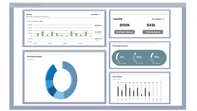 3D render of financial program UI used to make statistical charts showing company profits. Animation of accounting report showing assets liquidity profit margin and cash flow