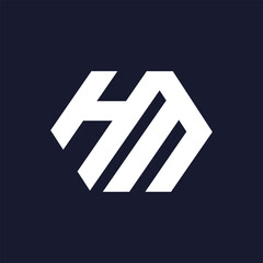hm modern logo design vector icon template