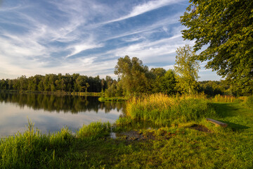 Light of the golden hour over the pond