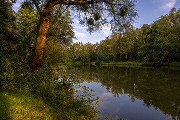 Light of the golden hour over the pond