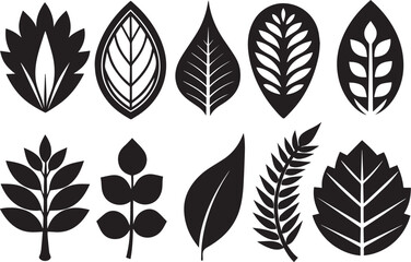Naklejka premium A set of leaves. Hand drawn vector illustration