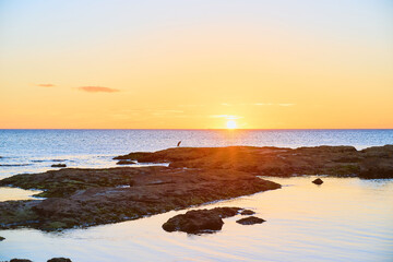 玄界灘に沈む夕日
