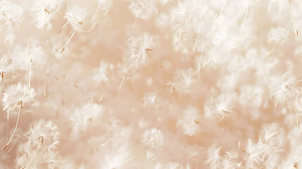Dandelion fluff background for aesthetic minimalism style background. Beige, neutral and pastel color wallpaper with elegant and light flying fluffs. Fragile and lightweight