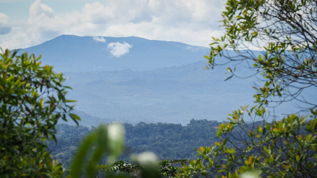 The landscape of Brunei Darussalam 