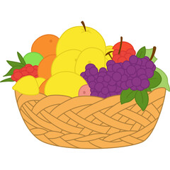 Fruit In the Basket Illustration