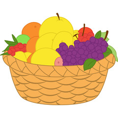 Fruit In the Basket Illustration
