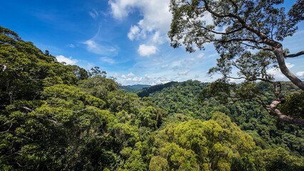 The landscape of Brunei Darussalam 