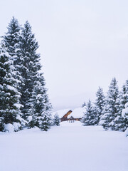 Winter Wonderland: Snow-covered Cabin and Trees