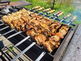 Cooking shashlik on coals