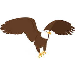 Eagle Vector Illustration
