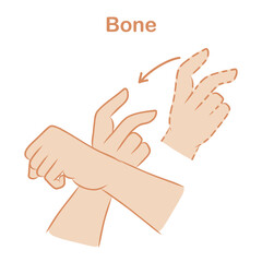 ASL Bone