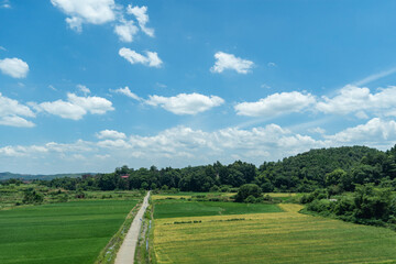 Fototapeta premium Rural grassland scenery of Taiyuan, Shanxi, with blue sky, white clouds, and fields