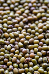closeup of many green mung bean seeds