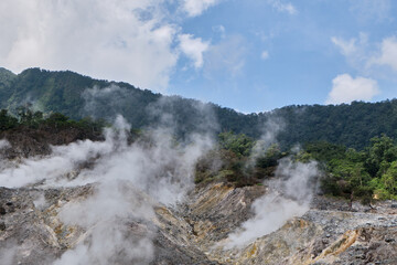 Veiled in Vapor: Nature's Quiet Drama