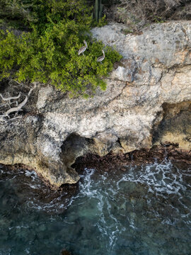 Aerial view of rocky shore with pelicans and clear water, Westpunt, Curacao.