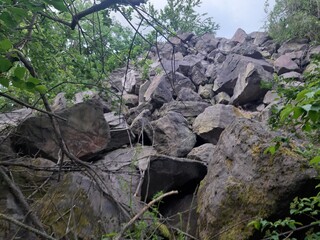 rocks in the forest