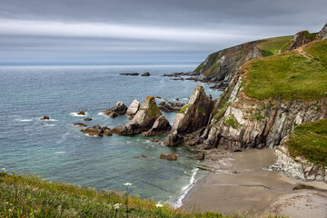 The rocky coastline at Westcombe Beach in South Devon Uk