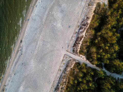 Aerial view of serene beach and lush forest by the Baltic Sea, Leba, Poland.