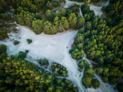 Aerial view of forest and Baltic sea, Leba, Poland.