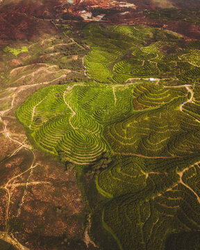 Aerial view of terraced fields and green hills in Minas de Rio Tinto, Huelva, Spain.