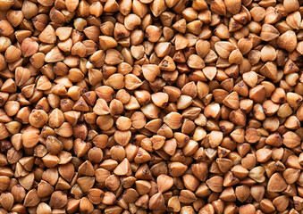 Brown raw healthy buckwheat grain seeds textured background.Macro.