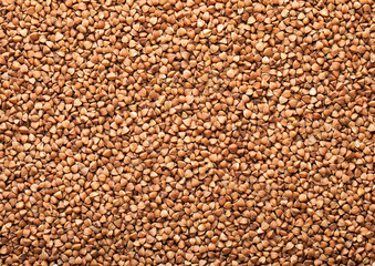 Brown raw healthy buckwheat grain seeds textured background.Macro.