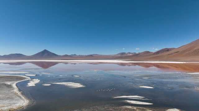 Aerial view of Laguna Colorada with flamingos and desert, San Pablo, Potosi, Bolivia.
