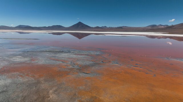 Aerial view of Laguna Colorada with flamingos in the desert, San Pablo, Potosi, Bolivia.