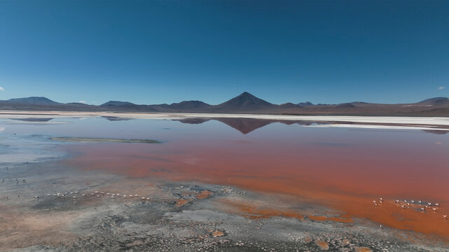 Aerial view of Laguna Colorada with flamingos and mountain reflections, San Pablo, Potosi, Bolivia.
