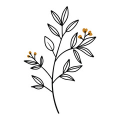 Naklejka premium Botanic tree vector