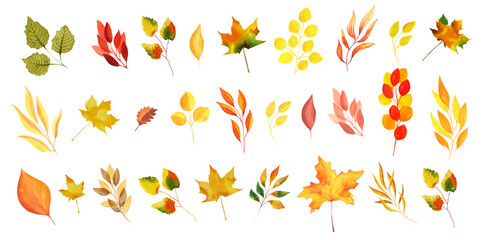 Watercolor Autumn Leaves Set on Transparent Background. Isolated Fall Design Elements in Yellow, Orange and Green Vibrant Colors