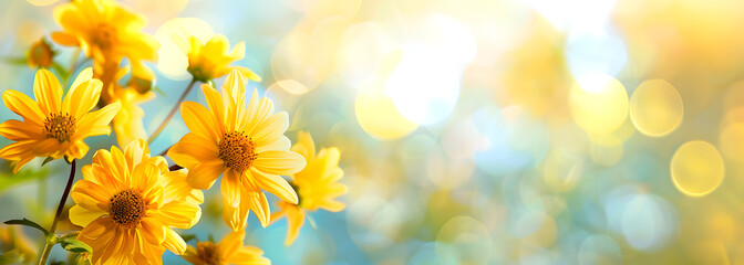 Obraz premium Beautiful yellow flowers on blurred background with bokeh and copy space. Autumn or summer festive natural background.