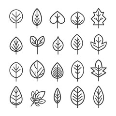 minimalist line art icon leaf collection set logo symbol